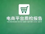 跨境电商质检报告